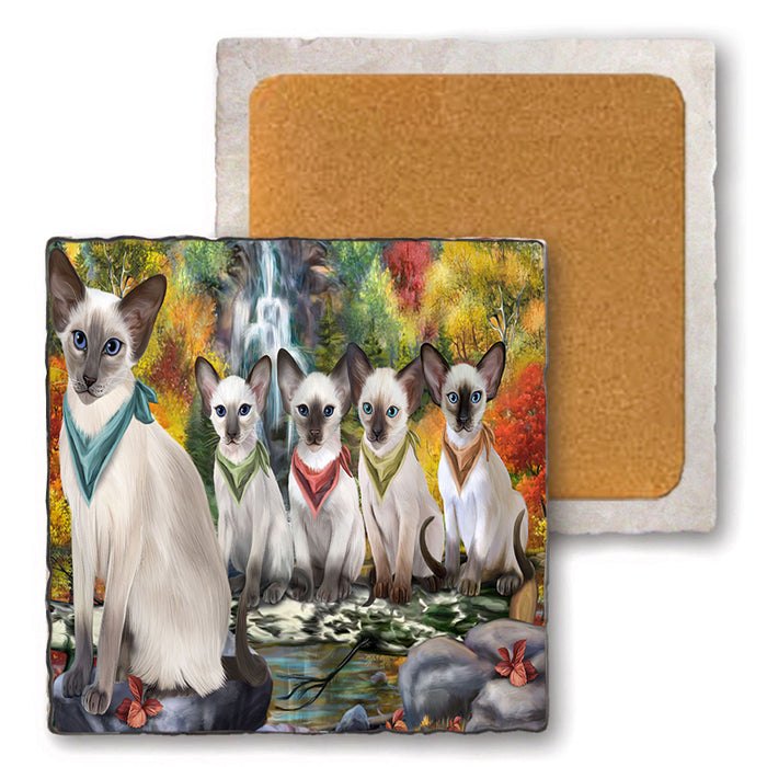 Scenic Waterfall Blue Point Siamese Cats Set of 4 Natural Stone Marble Tile Coasters MCST49664