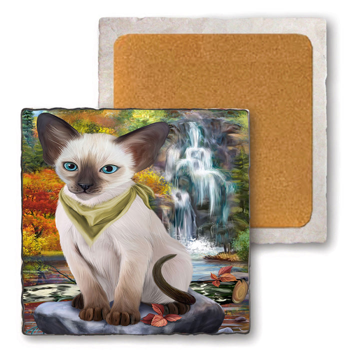 Scenic Waterfall Blue Point Siamese Cat Set of 4 Natural Stone Marble Tile Coasters MCST49667
