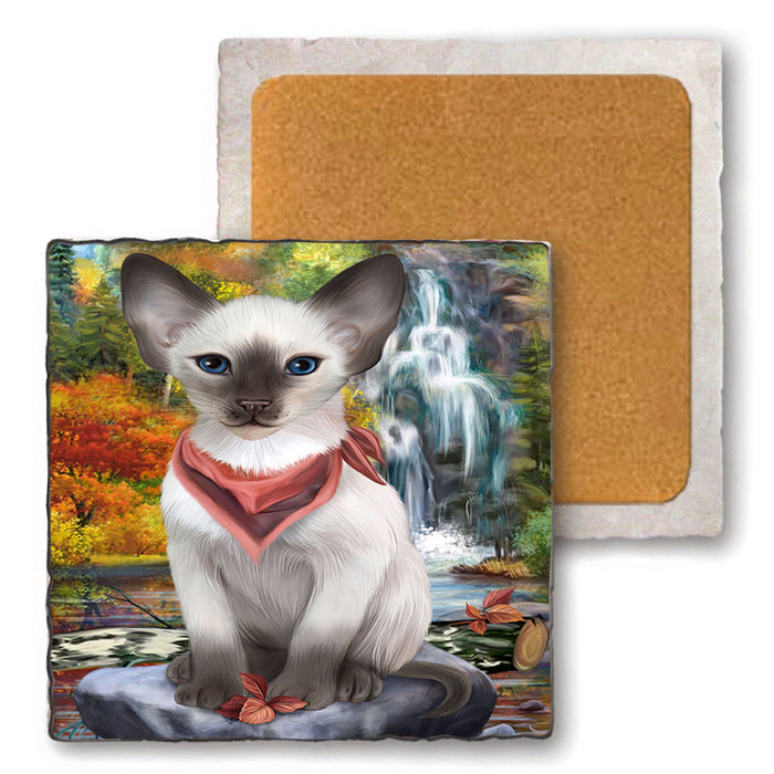 Scenic Waterfall Blue Point Siamese Cat Set of 4 Natural Stone Marble Tile Coasters MCST49668