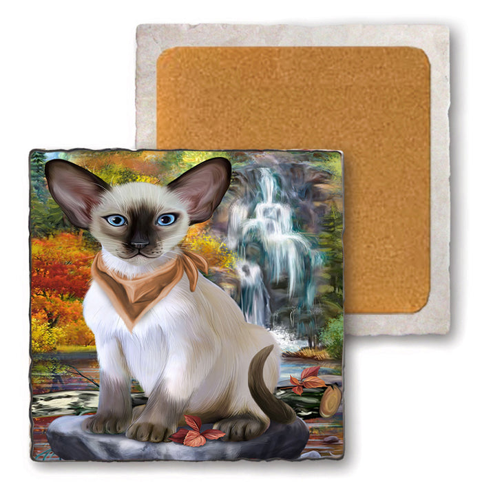 Scenic Waterfall Blue Point Siamese Cat Set of 4 Natural Stone Marble Tile Coasters MCST49669
