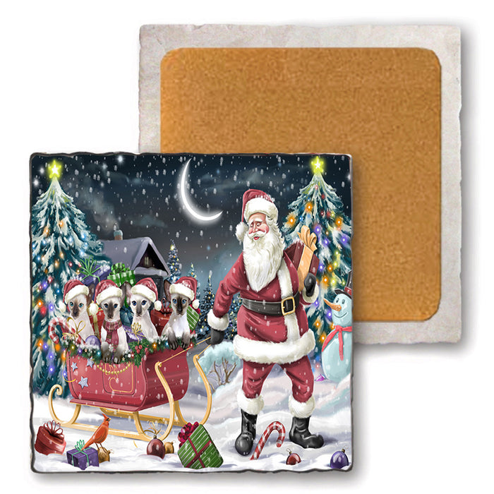 Santa Sled Christmas Happy Holidays Blue Point Siamese Cats Set of 4 Natural Stone Marble Tile Coasters MCST49377