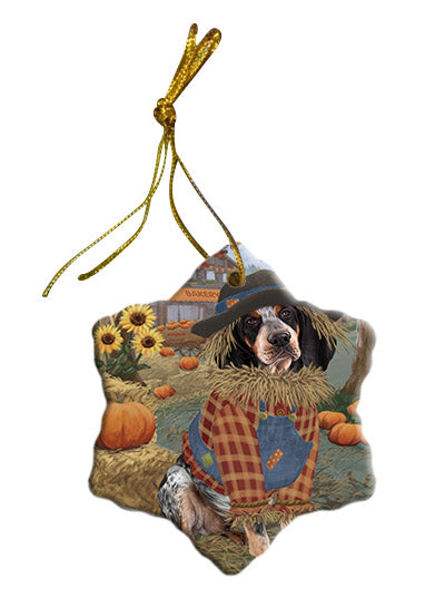 Fall Pumpkin Scarecrow Bluetick Coonhound Dogs Star Porcelain Ornament SPOR57538