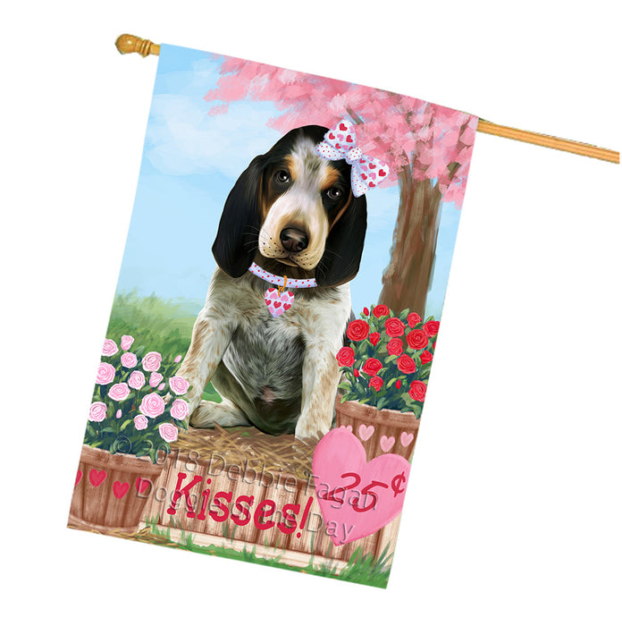 Rosie 25 Cent Kisses Bluetick Coonhound Dog House Flag FLG56623