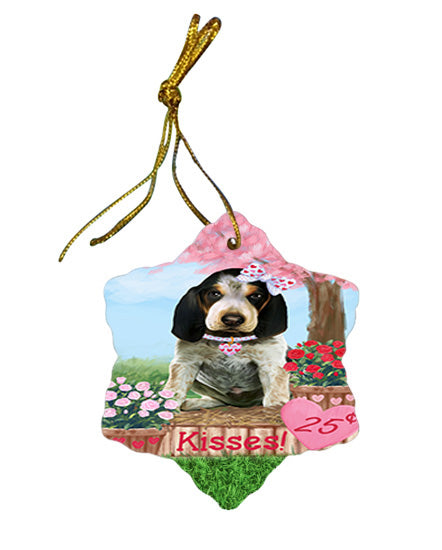 Rosie 25 Cent Kisses Bluetick Coonhound Dog Star Porcelain Ornament SPOR56295