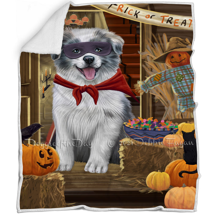 Enter at Own Risk Trick or Treat Halloween Border Collie Dog Blanket BLNKT94611