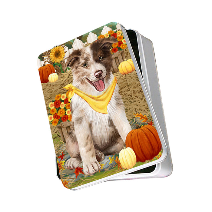 Fall Autumn Greeting Border Collie Dog with Pumpkins Photo Storage Tin PITN50693