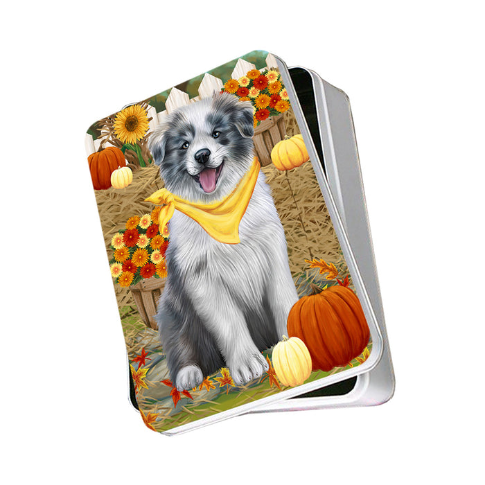 Fall Autumn Greeting Border Collie Dog with Pumpkins Photo Storage Tin PITN50694