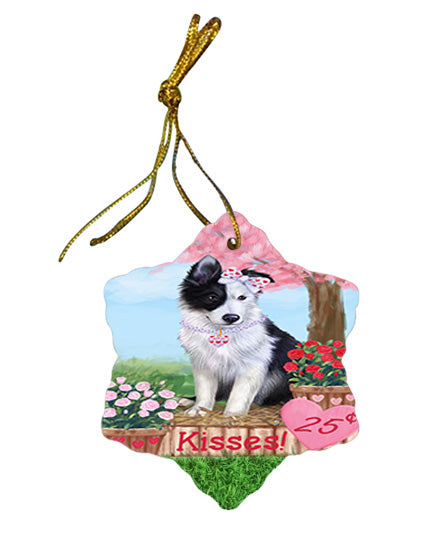 Rosie 25 Cent Kisses Border Collie Dog Star Porcelain Ornament SPOR56297