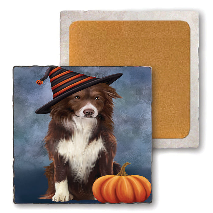 Happy Halloween Border Collie Dog Wearing Witch Hat with Pumpkin Set of 4 Natural Stone Marble Tile Coasters MCST49757