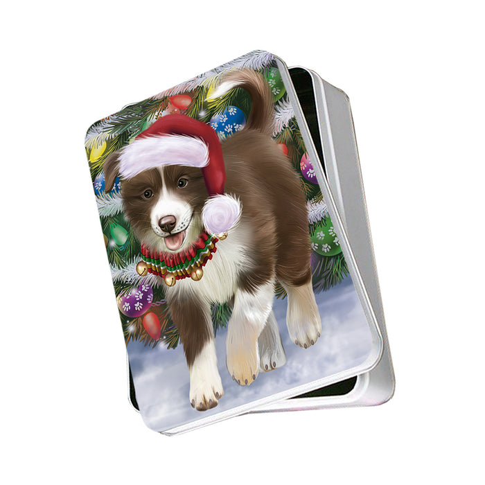 Trotting in the Snow Border Collie Dog Photo Storage Tin PITN55365