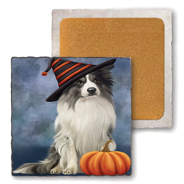 Happy Halloween Border Collie Dog Wearing Witch Hat with Pumpkin Set of 4 Natural Stone Marble Tile Coasters MCST49759