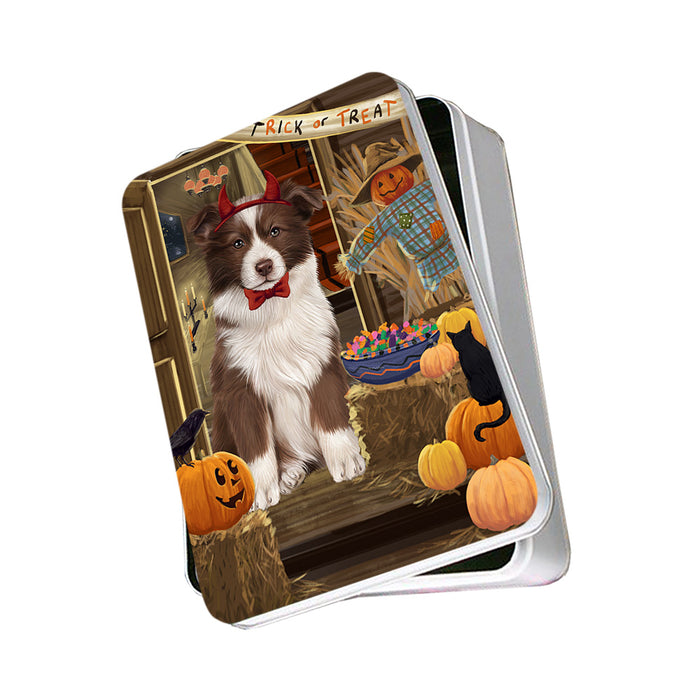 Enter at Own Risk Trick or Treat Halloween Border Collie Dog Photo Storage Tin PITN53032