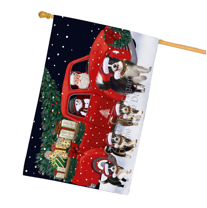Christmas Express Delivery Red Truck Running Border Collie Dogs House Flag FLG66503