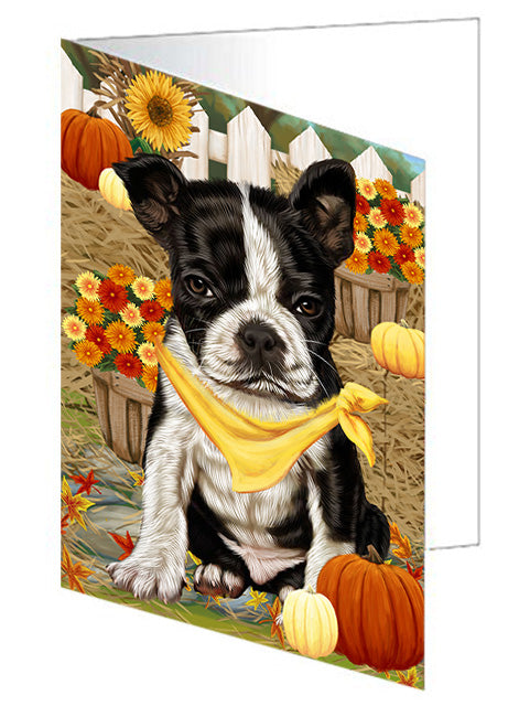 Fall Autumn Greeting Boston Terrier Dog with Pumpkins Handmade Artwork Assorted Pets Greeting Cards and Note Cards with Envelopes for All Occasions and Holiday Seasons GCD56120