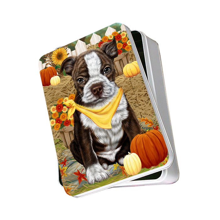 Fall Autumn Greeting Boston Terrier Dog with Pumpkins Photo Storage Tin PITN50698