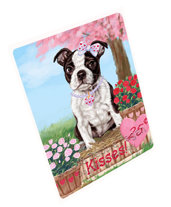 Rosie 25 Cent Kisses Boston Terrier Dog Large Refrigerator / Dishwasher Magnet RMAG97938