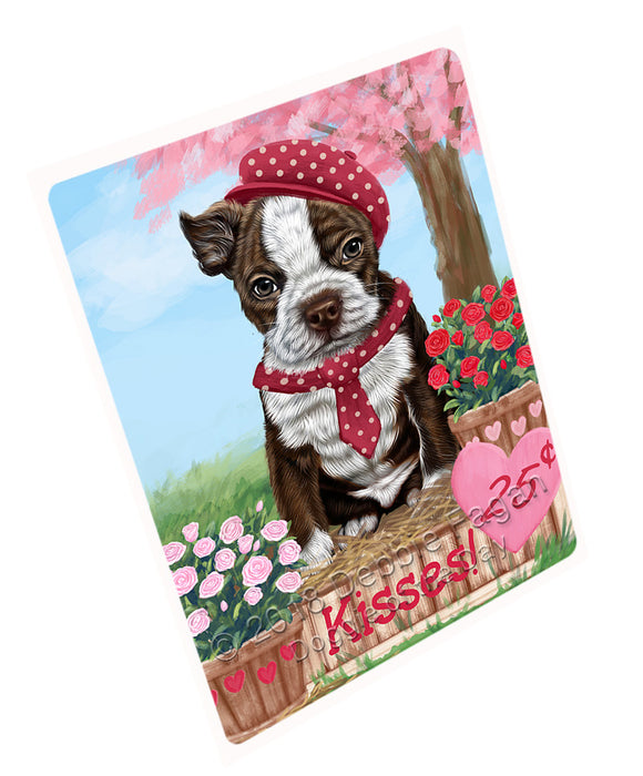 Rosie 25 Cent Kisses Boston Terrier Dog Large Refrigerator / Dishwasher Magnet RMAG97944