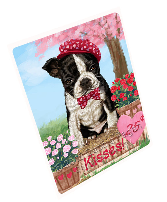 Rosie 25 Cent Kisses Boston Terrier Dog Large Refrigerator / Dishwasher Magnet RMAG97950