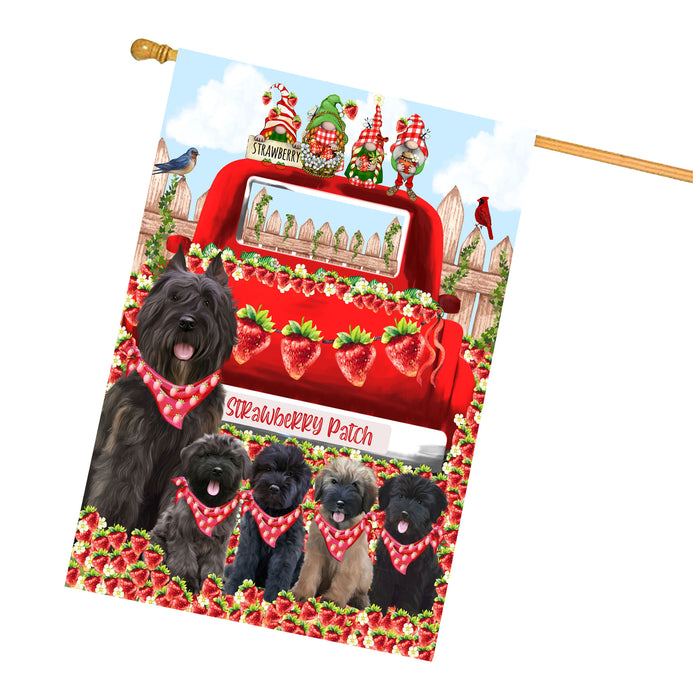 Bouviers des Flandres Dogs House Flag: Explore a Variety of Custom Designs, Double-Sided, Personalized, Weather Resistant, Home Outside Yard Decor, Dog Gift for Pet Lovers