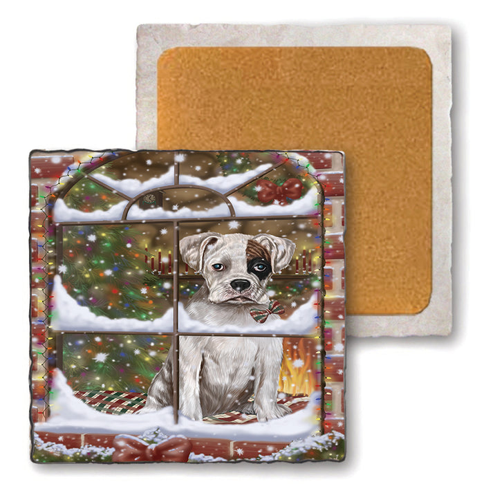 Please Come Home For Christmas Boxer Dog Sitting In Window Set of 4 Natural Stone Marble Tile Coasters MCST48939