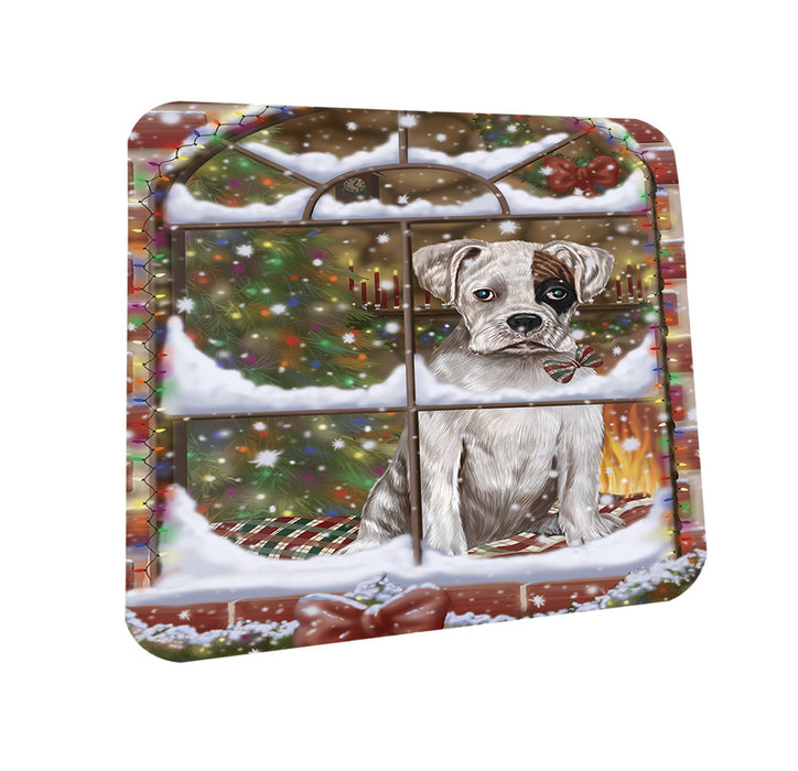 Please Come Home For Christmas Boxer Dog Sitting In Window Coasters Set of 4 CST53897