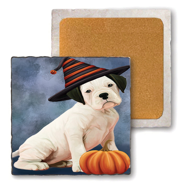 Happy Halloween Boxer Dog Wearing Witch Hat with Pumpkin Set of 4 Natural Stone Marble Tile Coasters MCST49785