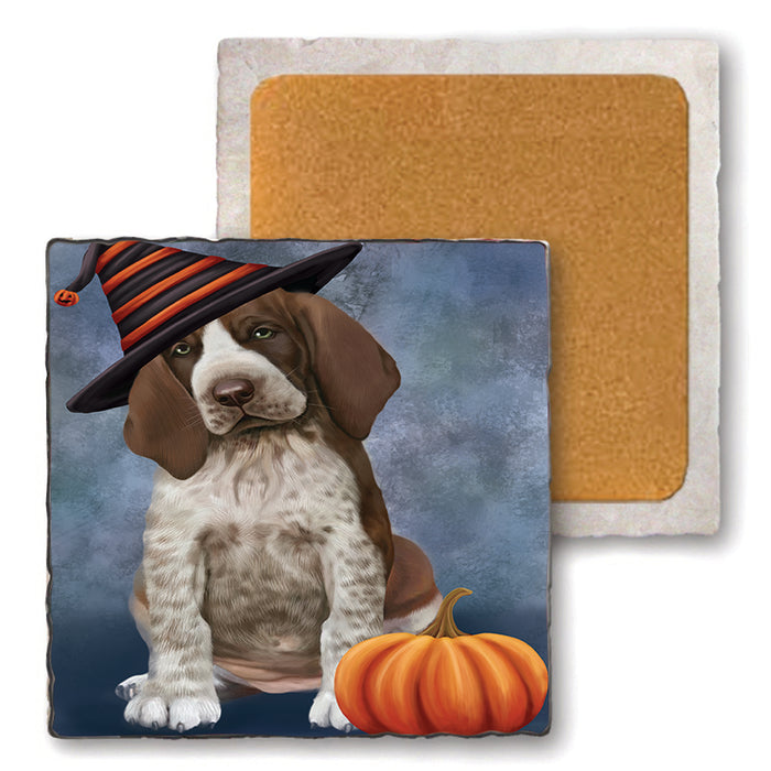 Happy Halloween Bracco Dog Wearing Witch Hat with Pumpkin Set of 4 Natural Stone Marble Tile Coasters MCST49866