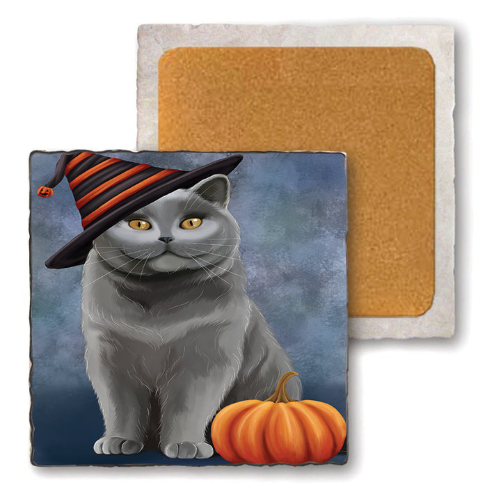 Happy Halloween British Shorthair Cat Wearing Witch Hat with Pumpkin Set of 4 Natural Stone Marble Tile Coasters MCST49868