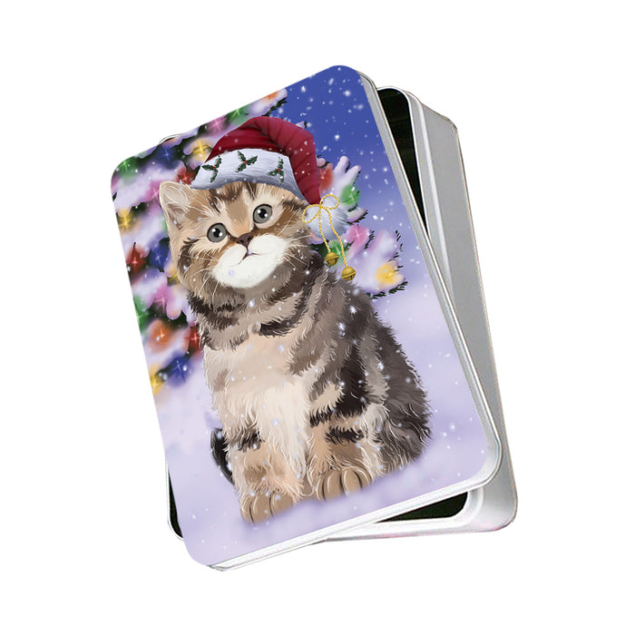Winterland Wonderland British Shorthair Cat In Christmas Holiday Scenic Background Photo Storage Tin PITN55636