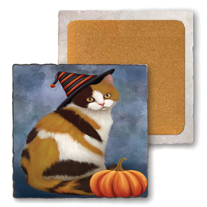 Happy Halloween British Shorthair Cat Wearing Witch Hat with Pumpkin Set of 4 Natural Stone Marble Tile Coasters MCST49869