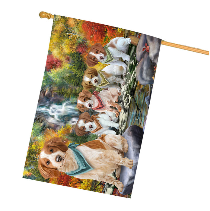 Scenic Waterfall Brittany Spaniels Dog House Flag FLG49676