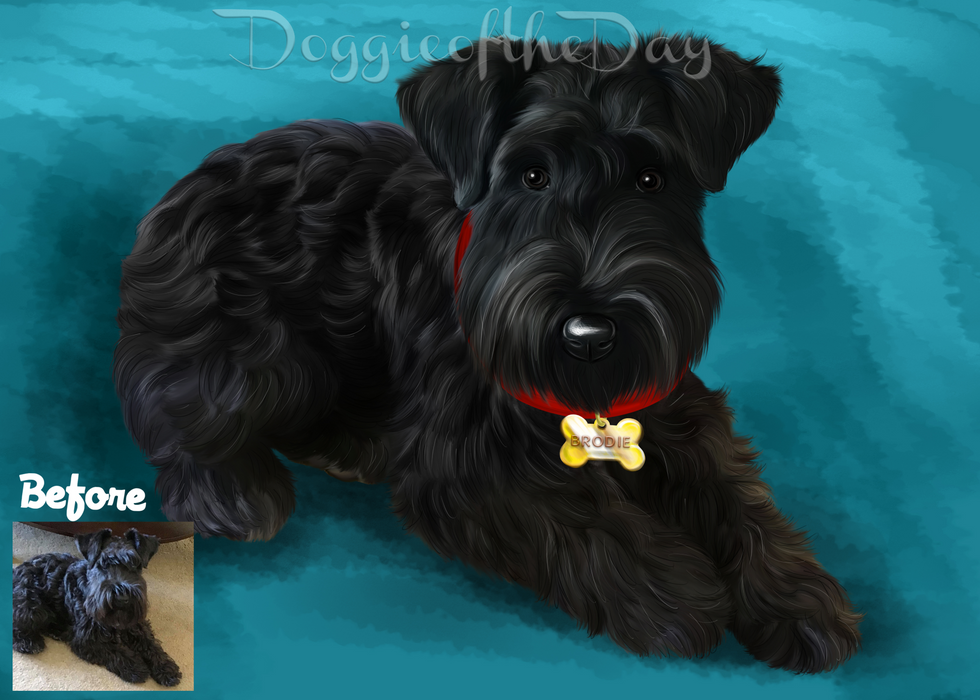 Digital Painting PERSONALIZED PET PORTRAIT! Custom Pet Dog or Cat Art