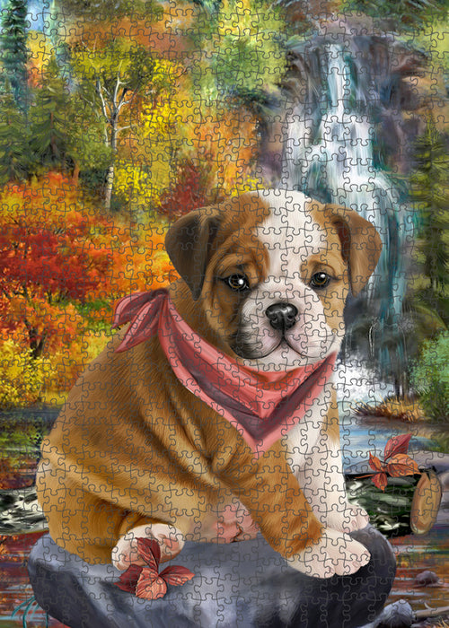 Scenic Waterfall Bulldog Puzzle with Photo Tin PUZL54345
