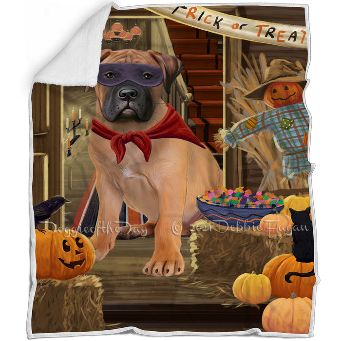 Enter at Own Risk Trick or Treat Halloween Bullmastiff Dog Blanket BLNKT94881