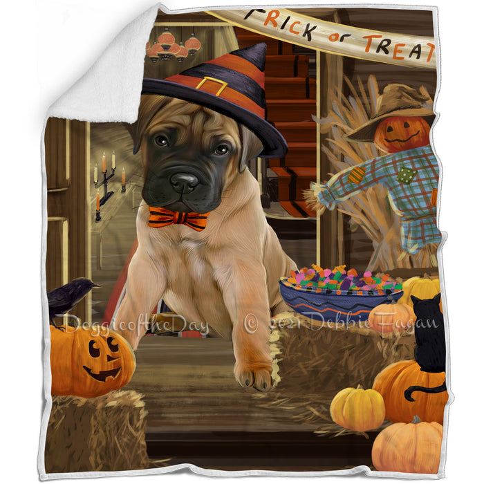 Enter at Own Risk Trick or Treat Halloween Bullmastiff Dog Blanket BLNKT94908