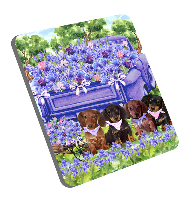 Iris Purple Truck Dachshund Dog Coasters Set of 4