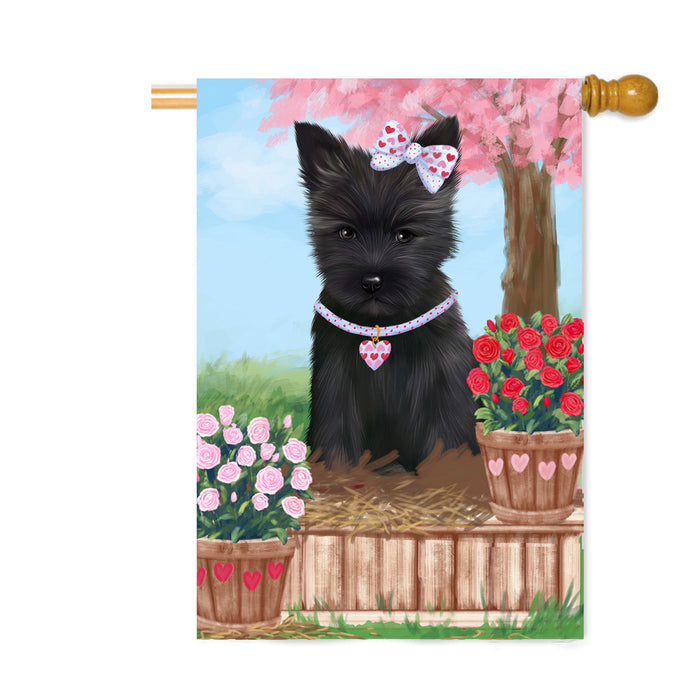 Personalized Rosie 25 Cent Kisses Cairn Terrier Dog Custom House Flag FLG64825