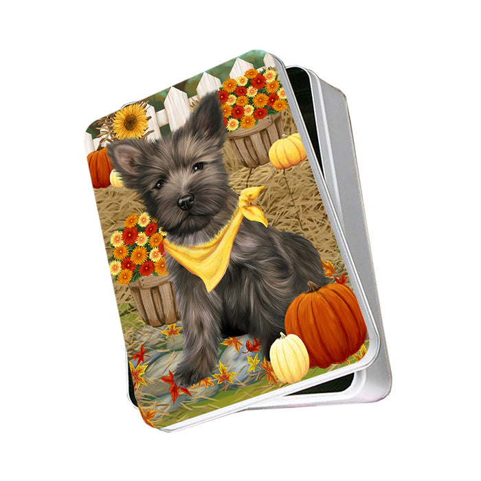 Fall Autumn Greeting Cairn Terrier Dog with Pumpkins Photo Storage Tin PITN50715
