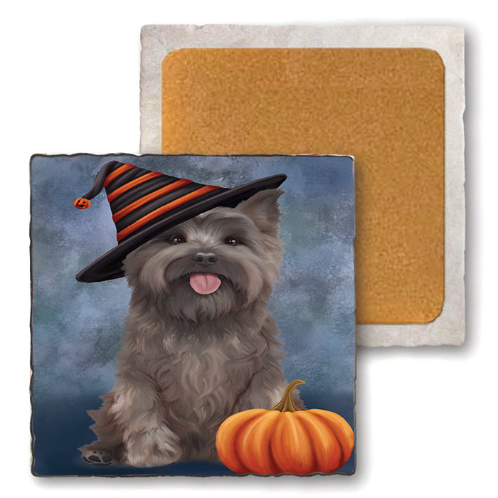 Happy Halloween Cairn Terrier Dog Wearing Witch Hat with Pumpkin Set of 4 Natural Stone Marble Tile Coasters MCST49873