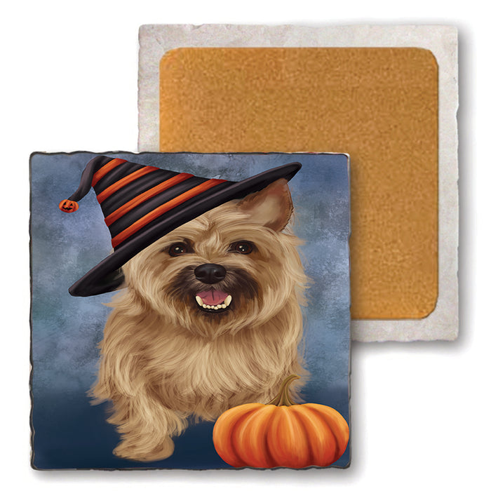 Happy Halloween Cairn Terrier Dog Wearing Witch Hat with Pumpkin Set of 4 Natural Stone Marble Tile Coasters MCST49874