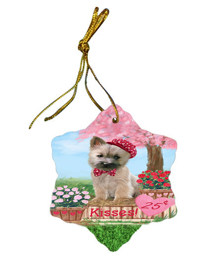 Rosie 25 Cent Kisses Cairn Terrier Dog Star Porcelain Ornament SPOR56786