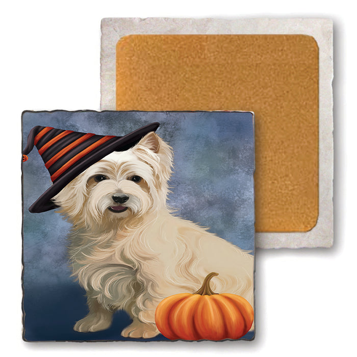Happy Halloween Cairn Terrier Dog Wearing Witch Hat with Pumpkin Set of 4 Natural Stone Marble Tile Coasters MCST49875