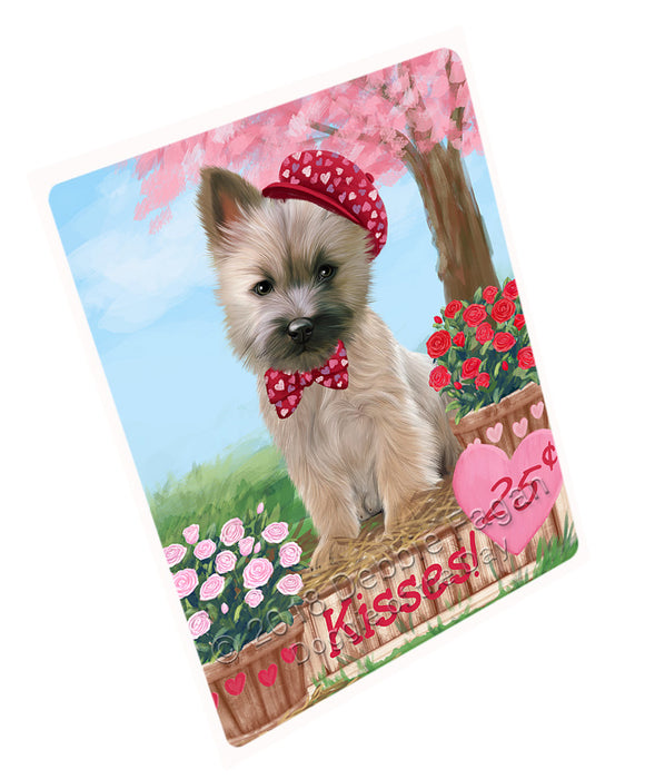 Rosie 25 Cent Kisses Cairn Terrier Dog Large Refrigerator / Dishwasher Magnet RMAG100848