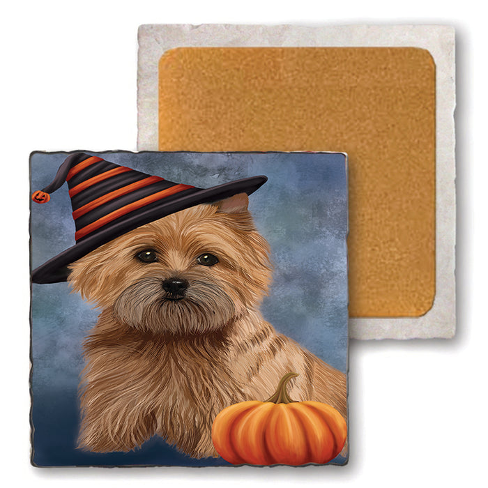 Happy Halloween Cairn Terrier Dog Wearing Witch Hat with Pumpkin Set of 4 Natural Stone Marble Tile Coasters MCST49876