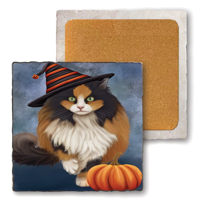 Happy Halloween Calico Cat Wearing Witch Hat with Pumpkin Set of 4 Natural Stone Marble Tile Coasters MCST49878