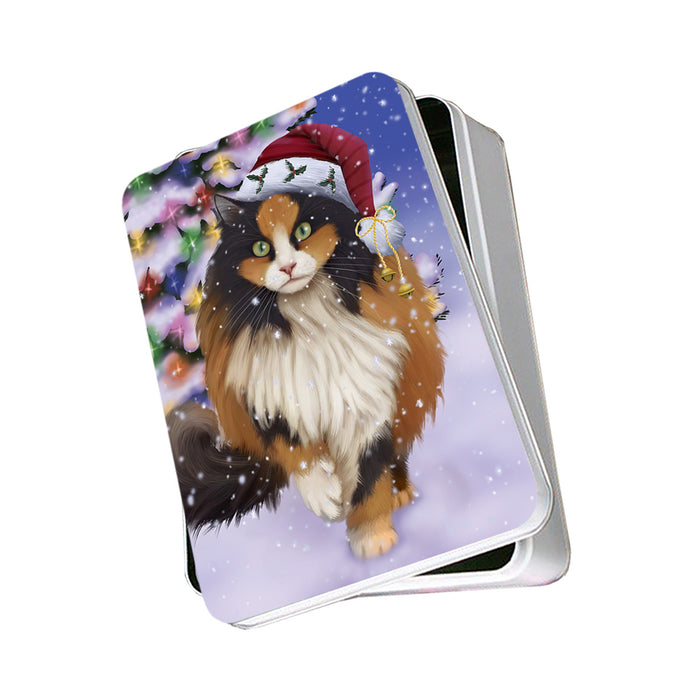 Winterland Wonderland Calico Cat In Christmas Holiday Scenic Background Photo Storage Tin PITN55637
