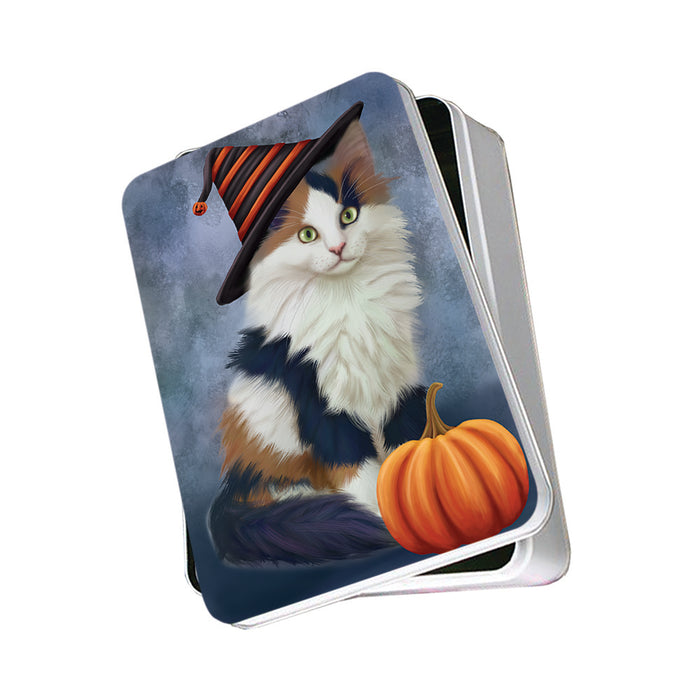 Happy Halloween Calico Cat Wearing Witch Hat with Pumpkin Photo Storage Tin PITN54822