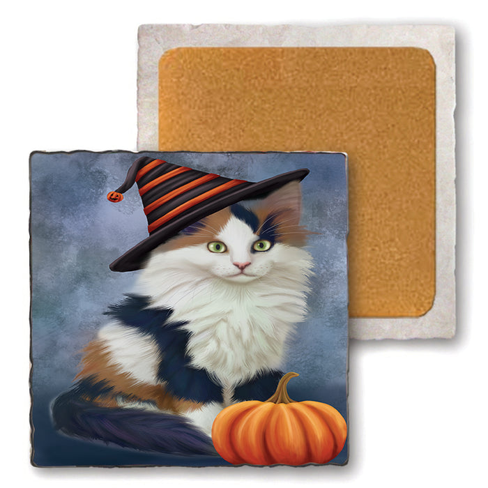 Happy Halloween Calico Cat Wearing Witch Hat with Pumpkin Set of 4 Natural Stone Marble Tile Coasters MCST49879