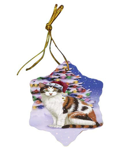 Winterland Wonderland Calico Cat In Christmas Holiday Scenic Background Star Porcelain Ornament SPOR56051