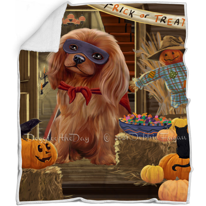 Enter at Own Risk Trick or Treat Halloween Cavalier King Charles Spaniel Dog Blanket BLNKT94971